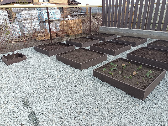 Доска 1000*200*20 мм